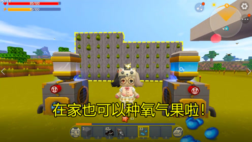 迷你世界:极限生存果果家园可以种氧气果啦,家园多了一道风景
