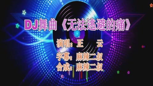 车载dj舞曲《无法逃避的痛》正云演唱高音质dj版