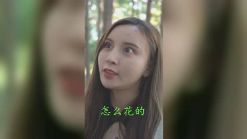 乖乖吖短剧，探索现代娱乐的魅力与影响