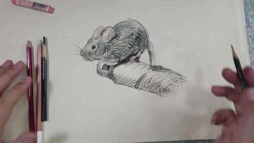10分钟画只小老鼠,没想到画最深刻的,是它脚下的树枝