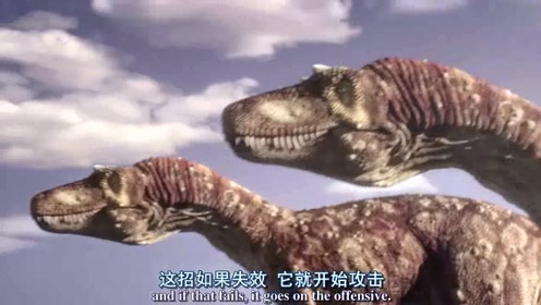 吃草的恐龙也有厉害的,两个霸王龙暴龙都打不赢,恐龙史前时代