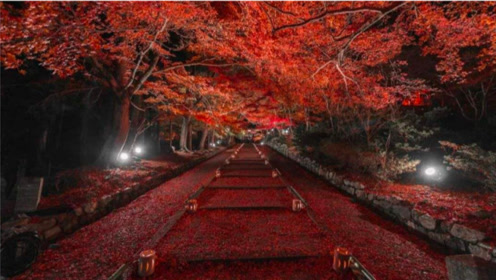 红叶隧道 腾讯视频
