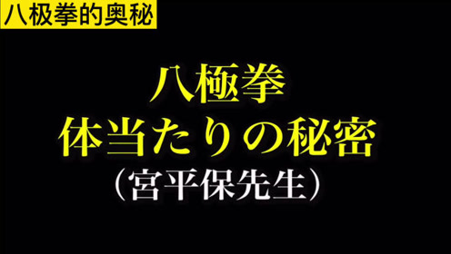 都说八极加披挂神仙也害怕 八极拳真那么厉害 腾讯视频
