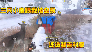 和平精英：三只小鹿和我抢空投，还送我雪地吉利服对抗寒流！