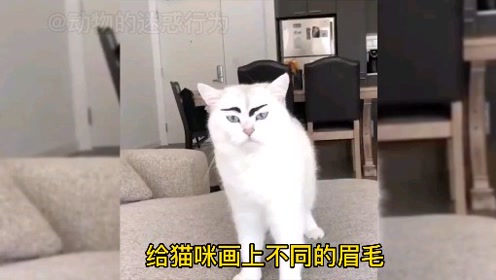 画上搞笑眉毛 腾讯视频