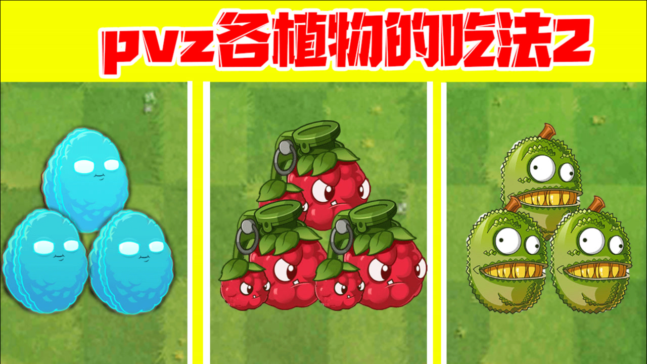 植物大战僵尸:各植物吃法2!桑葚爆破手了解一下?