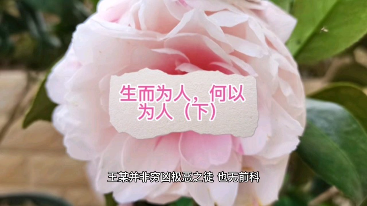 生而为人,何以为人(下)