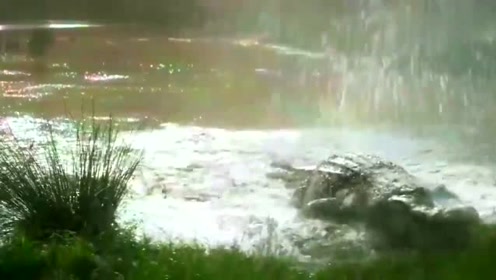 十七那年的雨季简谱_17岁那年的雨季简谱