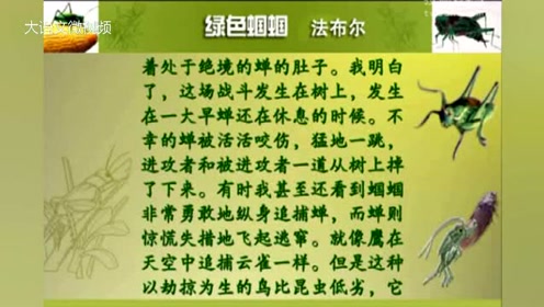 七年級(jí)語文上冊(cè)53 綠色蟈蟈(法布爾)