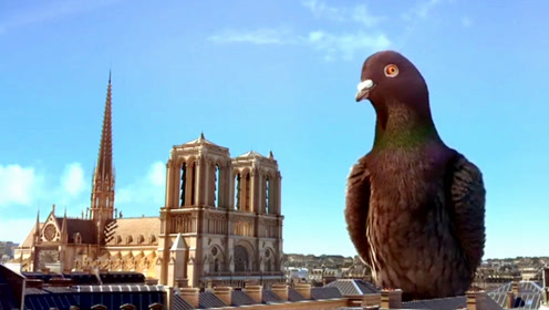 巨大的鸽子从博物馆跑出,只要一扇翅膀,就会造成巨大的损失!