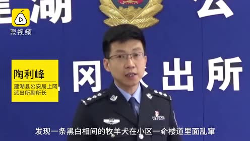 发情期的彼女 腾讯视频