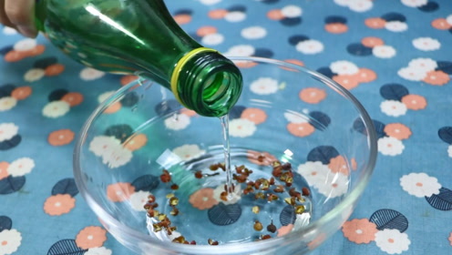花椒放白酒里泡一泡,真的厉害了,男人女人见了都抢着用,涨知识