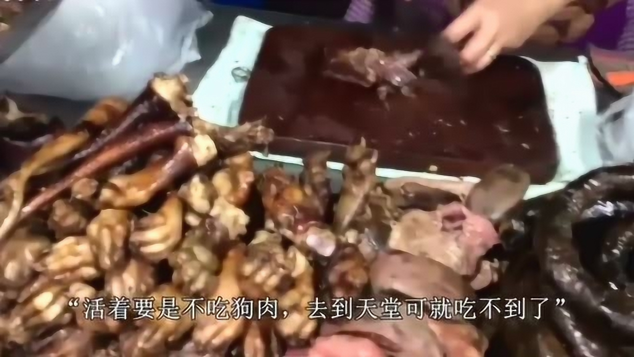 三倍流畅播放 4k超清体验  00:36   越南的狗肉已经快不够吃了,杀狗的