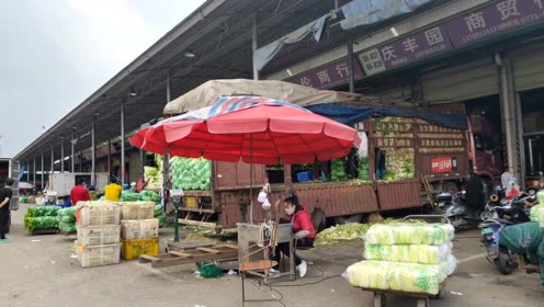 南宁海吉星批发市场青菜好便宜,一斤只卖一块五,好划算