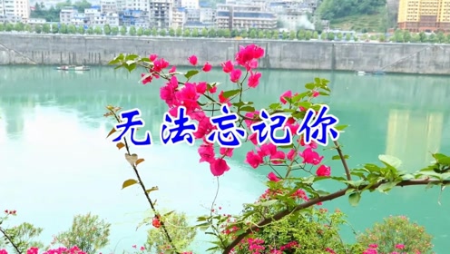 一首无法忘记你歌曲伤感入心句句痴情听得好心酸