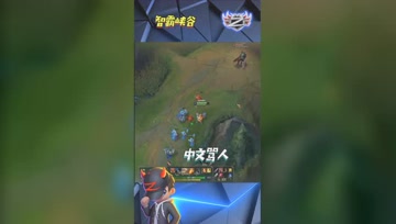 LOL小智：听说Faker也会在直播的时候用中文骂人