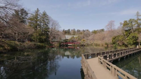 菊池健彦新闻 腾讯视频