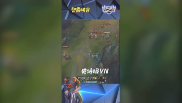 LOL小智：史诗级VN上路疯狂折磨，这回你兵都吃不了