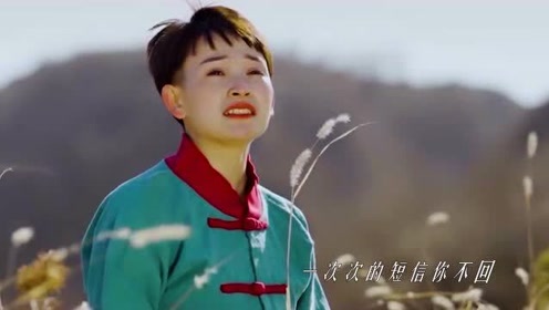 陕北说书马美如,独特嗓音百听不厌,唱过的歌曲合集,有