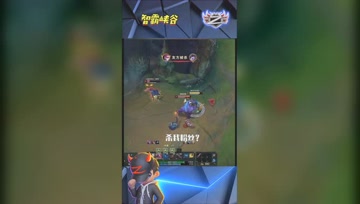 LOL小智：就你们两个，还敢杀我粉丝？