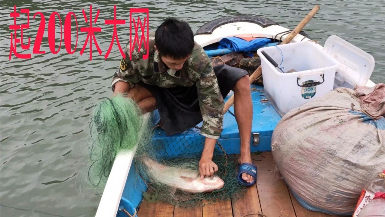 渔民阿欢今天的200米拦江网,又上货了,阿欢的伙计对很
