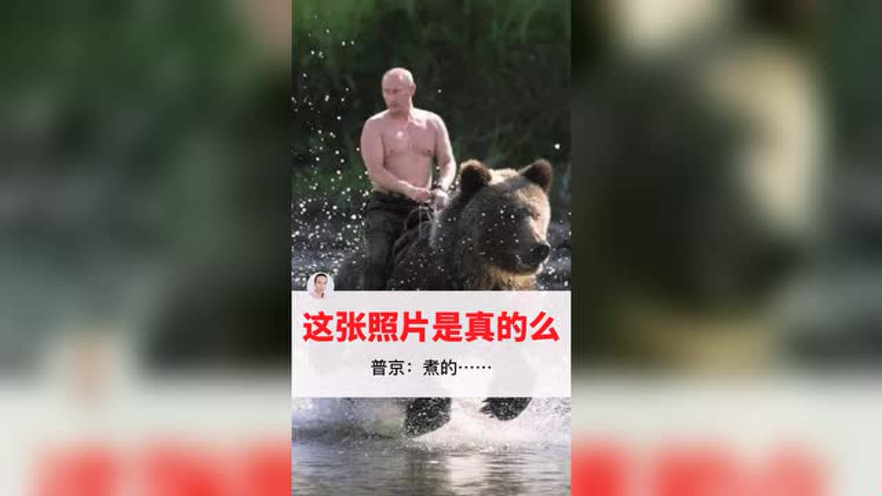 不传谣,不造谣,听党话!普京真的骑过熊么?