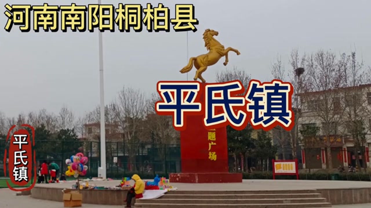 河南南阳:桐柏县平氏镇!