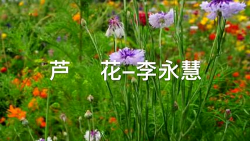 简谱鲁冰花_儿歌鲁冰花钢琴简谱(3)