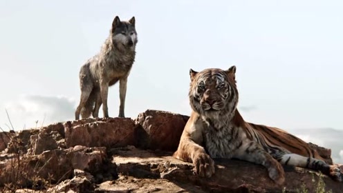 什么狼当什么成语(5)