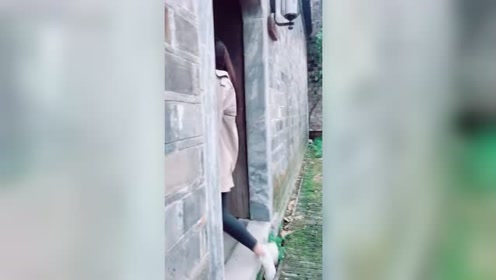 腾讯视频