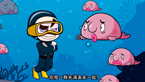 水滴鱼旅游 腾讯视频