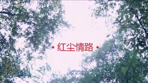 dj音乐崔建国红尘情路朝朝暮暮超好听