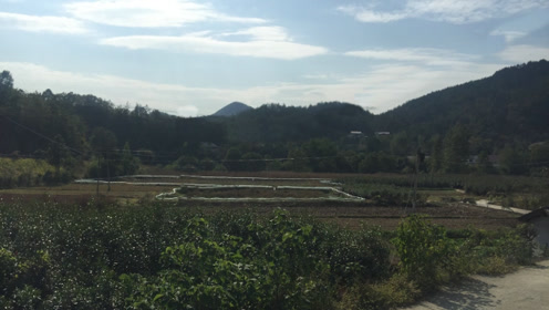 风水视频,大太师椅形风水宝地,看风水大师王君植湖北视频少祖催官旺财