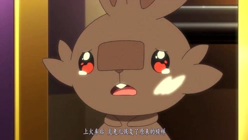 神奇宝贝,伽勒尔地区的御三家首次登场,小豪或将收服炎兔儿