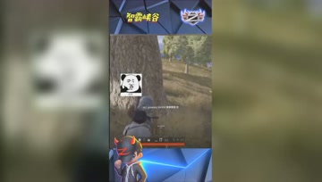 LOL小智：激情对枪被打过，豆豆赶紧来扶我一下