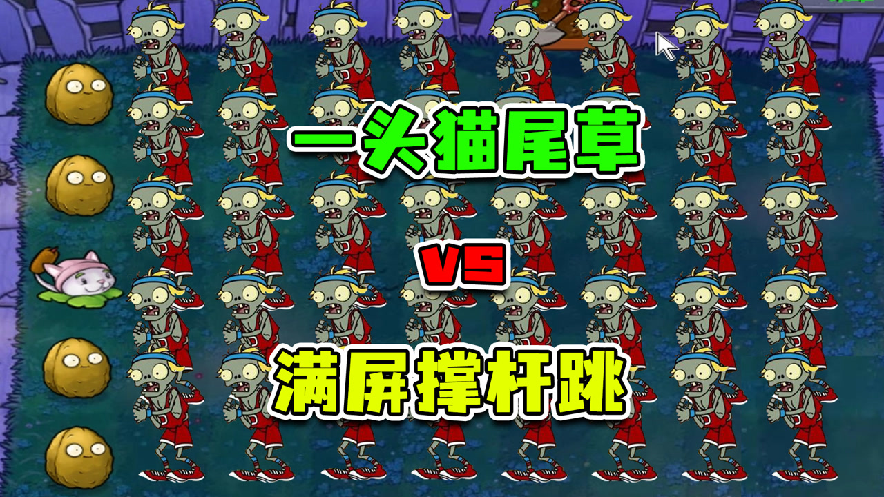 植物大战僵尸:满屏都是撑杆跳僵尸?猫尾草:40个?不过如此!
