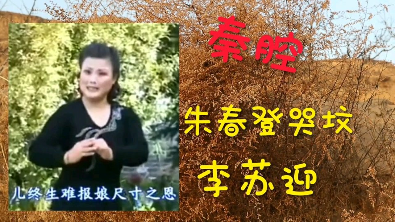 秦腔名角李苏迎老师秦腔《朱春登哭坟》演唱的感人肺腑,让人难忘