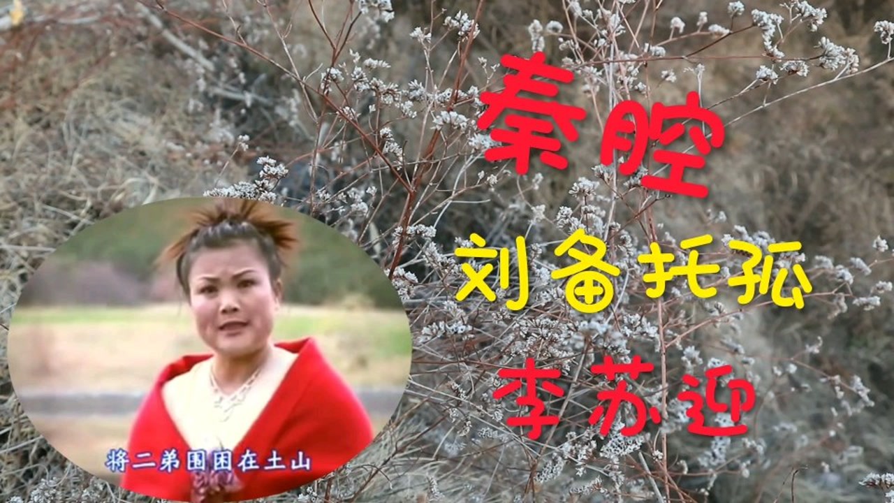 秦腔名角李苏迎老师秦腔《刘备托孤》精彩选段,百听不厌
