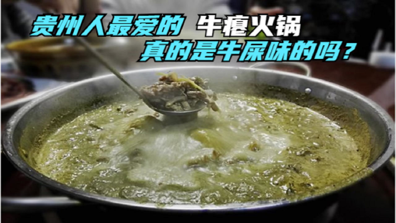 贵州的牛瘪火锅,真的是牛屎制成的吗?爱吃的人对它欲罢不能