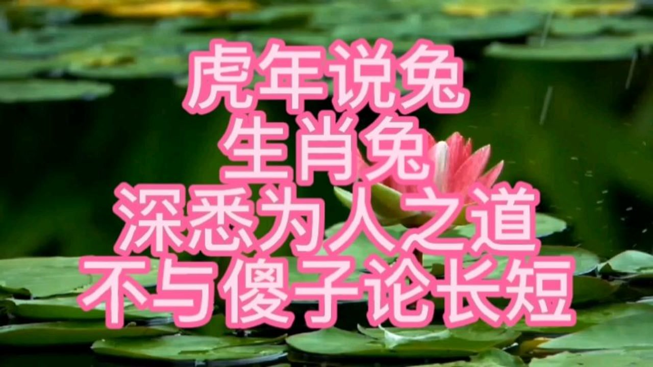 ڻԾʲôФ_ĺʲôФ_Ծڱʾʲô