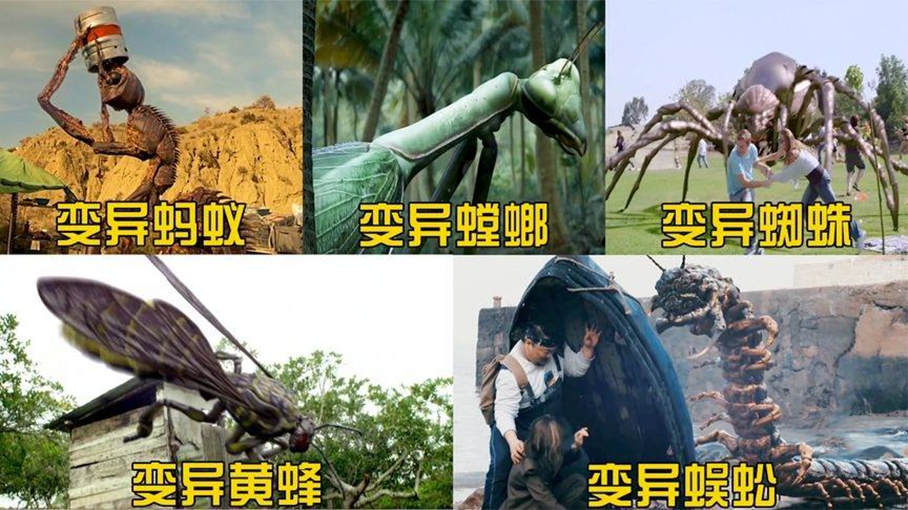 这几个电影中的变异昆虫,你觉得哪个更凶猛?变异蚂蚁好可怕啊
