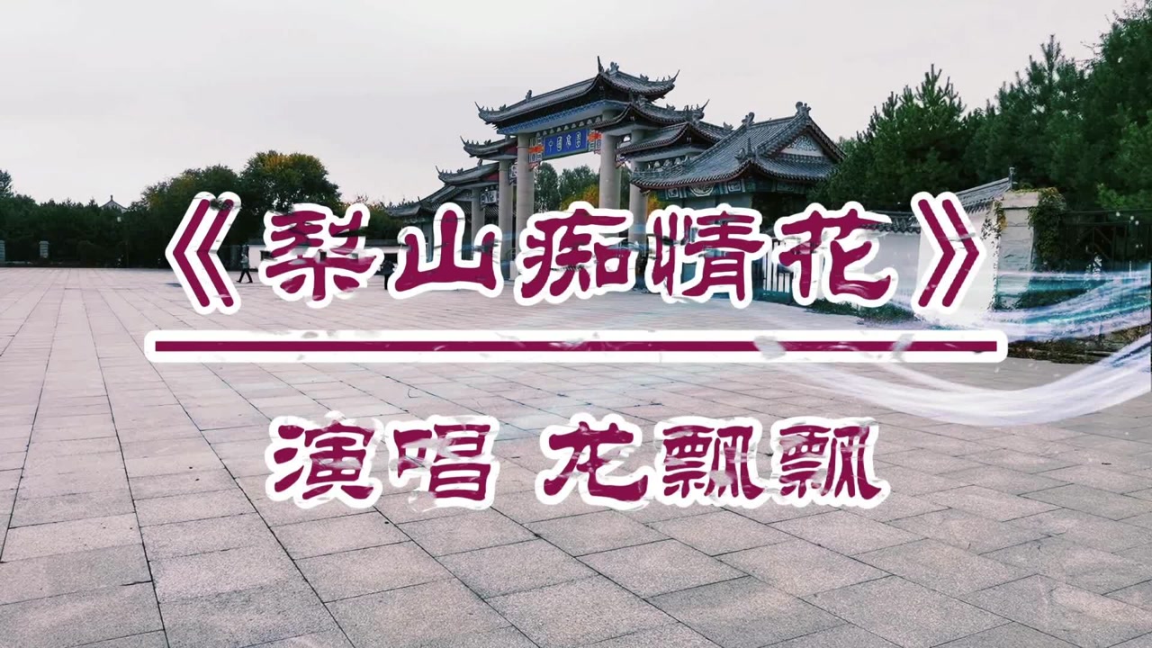 龙飘飘《梨山痴情花》山地情歌,令人迷醉!
