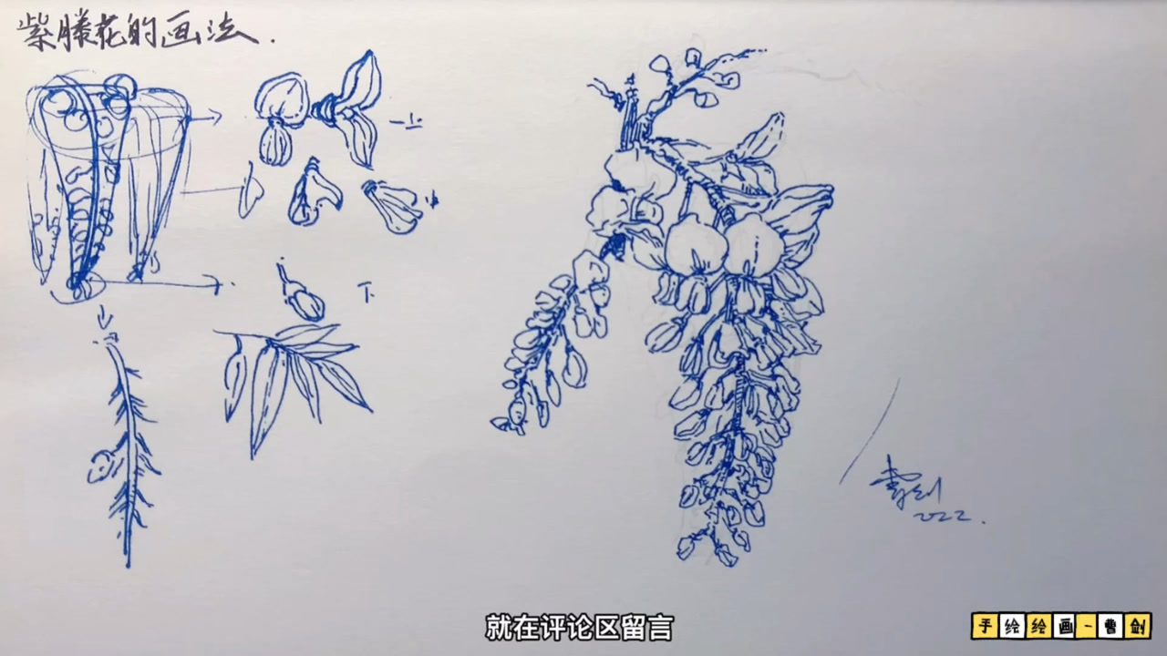 紫藤花怎么画?零基础钢笔画速写,花卉手绘