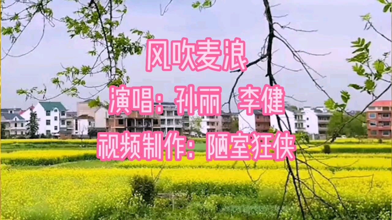 一首《风吹麦浪》唱的非常好听,献给可爱的好朋友们,祝你们快乐