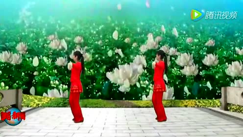 柳暗花明又一村猜成语_柳暗花明又一村