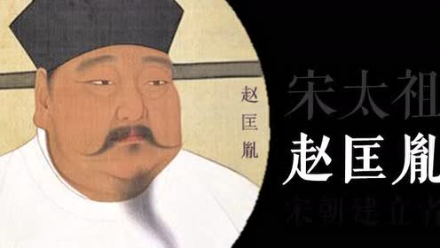 七年級歷史下冊 二單元 遼宋夏金元時期6 北宋的政治
