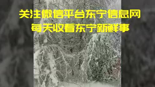 东宁招聘_招贤纳士 东宁海关技术中心招聘(4)