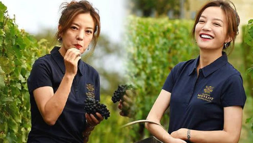赵薇有多少身家?家里葡萄园暴露真实现状