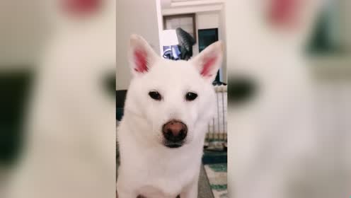 Kumi Koda Unik Katerina Bramley 腾讯视频