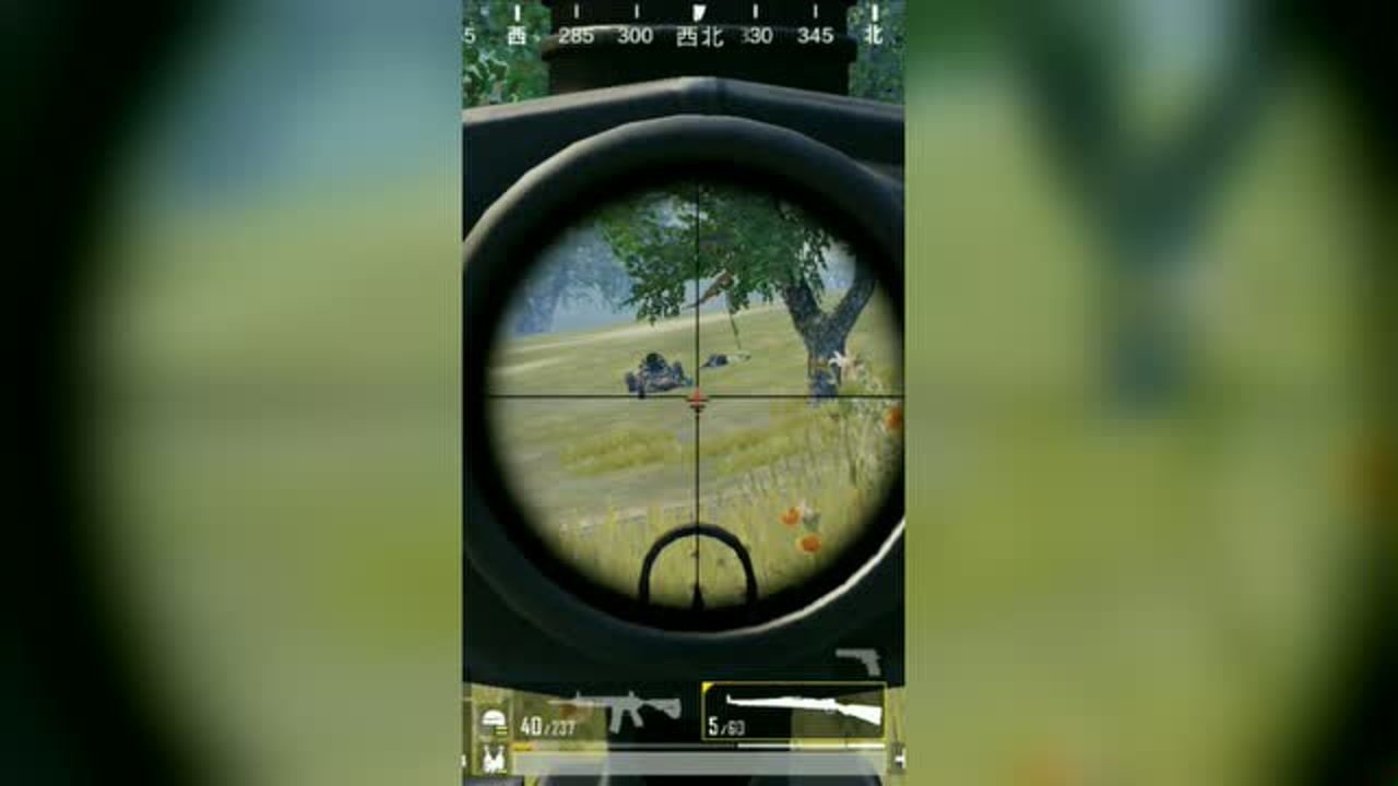 4����98k���Ŀ����壬̫�����ˡ�